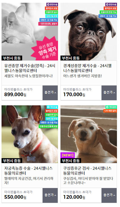 마이펫플러스