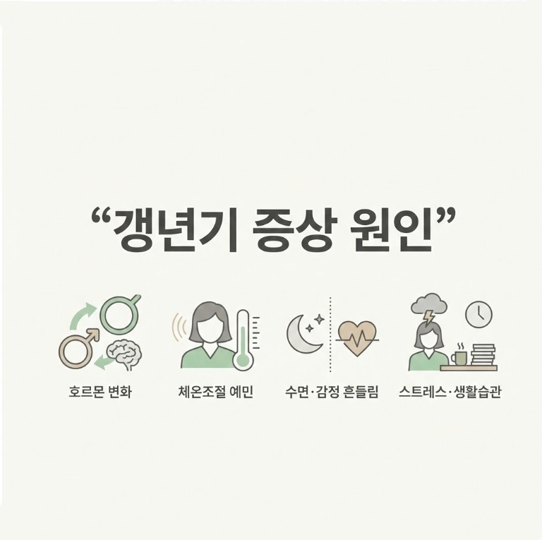 갱년기 증상 원인을 호르몬 변화&amp;#44; 체온조절&amp;#44; 수면&middot;감정 변화&amp;#44; 스트레스&middot;생활습관 4가지로 정리한 인포그래픽