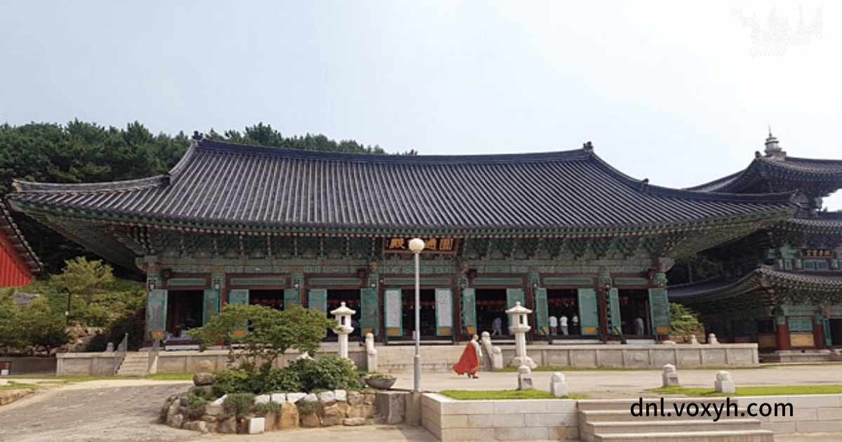 봉은사 대불전 전경