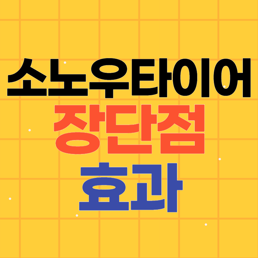 스노우타이어 장단점 효과