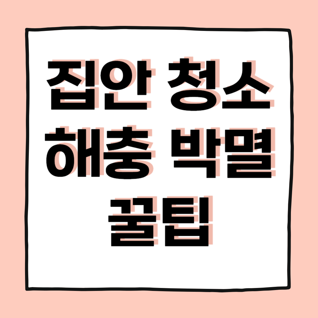 처서 전 집안 청소와 해충 서식지 차단 완벽 가이드