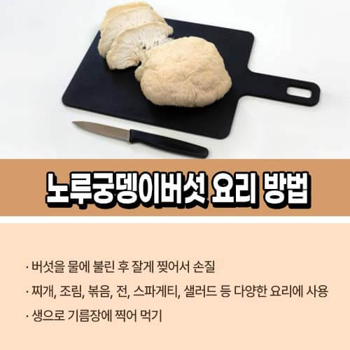 노루궁뎅이버섯 요리