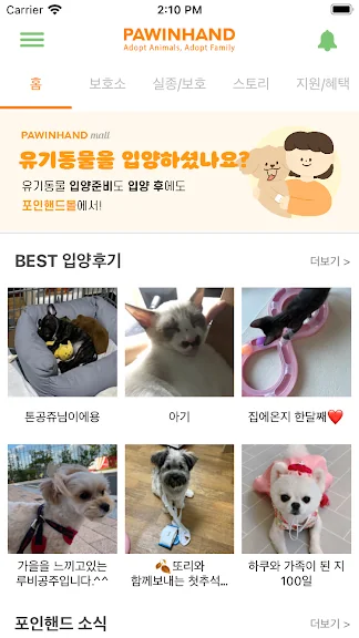 유기묘 새끼 고양이 무료 분양 어플 앱-7 유기묘 새끼 고양이 무료 분양 어플 앱-7