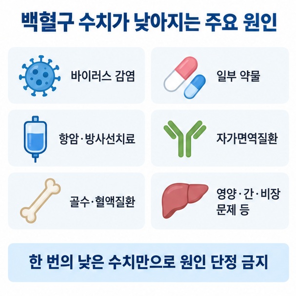 바이러스 감염 약물 항암치료 자가면역질환 골수질환 등 백혈구 수치 감소의 주요 원인을 정리한 이미지