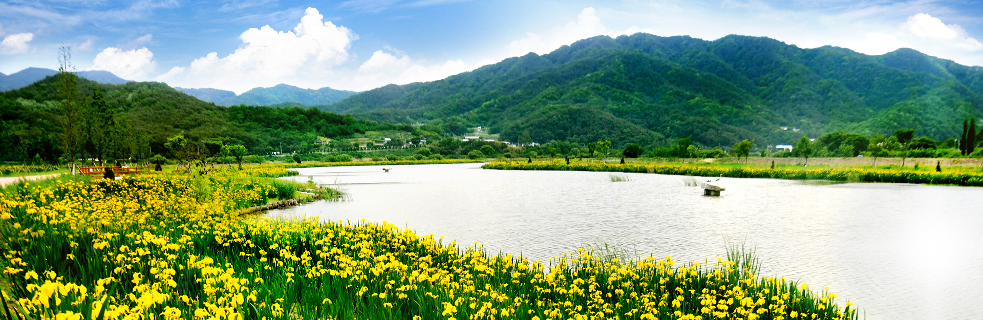 [5월 축제]창포원❘2025 거창에 온 봄 축제, 아리미아꽃축제,거창한 산양삼 축제