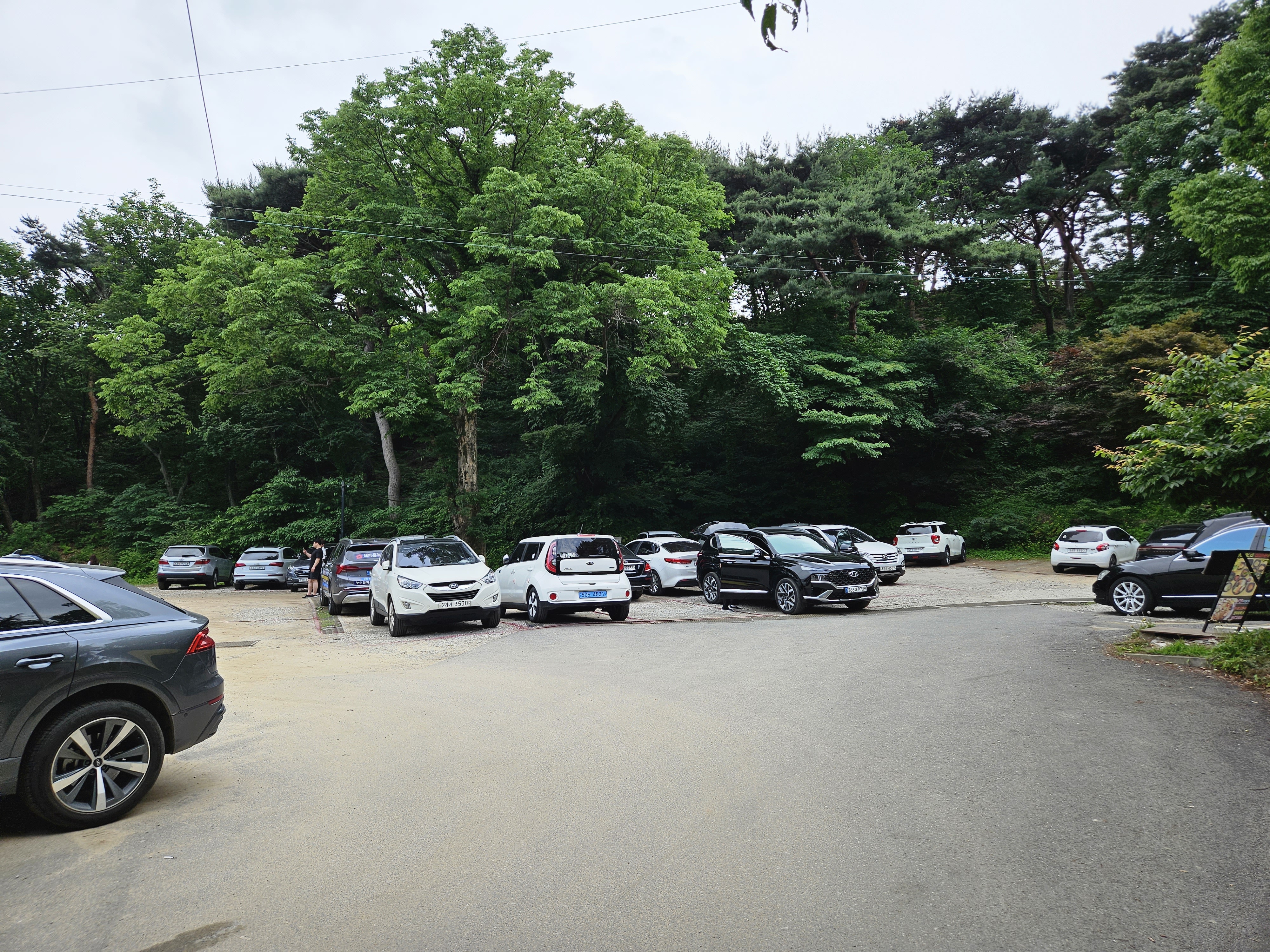 강화도 전등사 애견동반식당