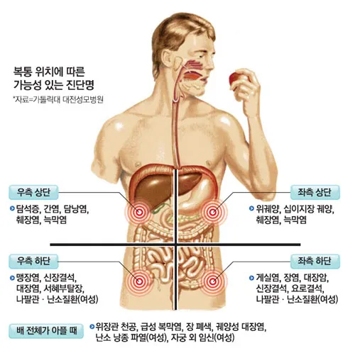 배를 콕콕 찌르는 통증의 8가지 원인 하는법 알아보기로 정리_1