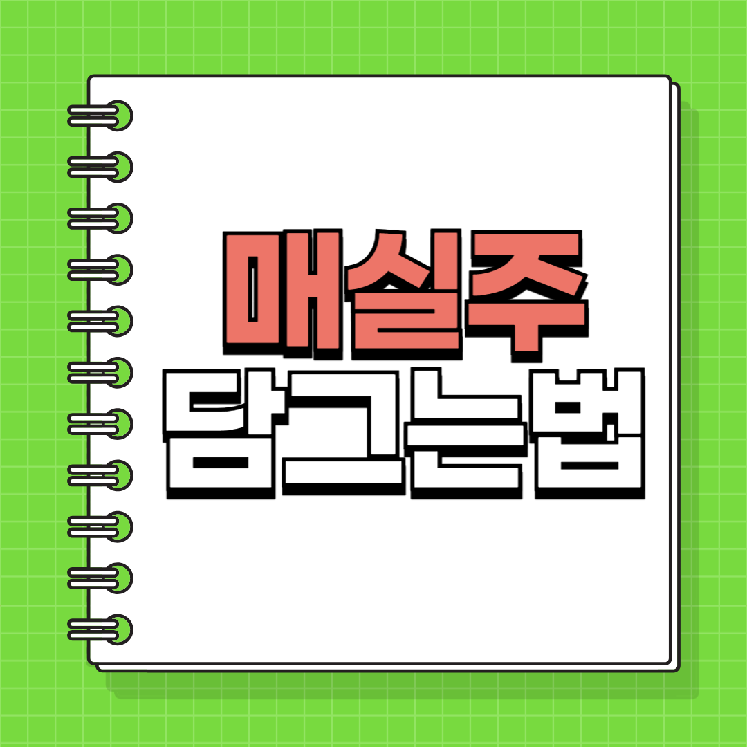 매실주 담그기 담그는법 비율 숙성기간