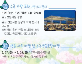 2025 유구색동수국정원 꽃 축제