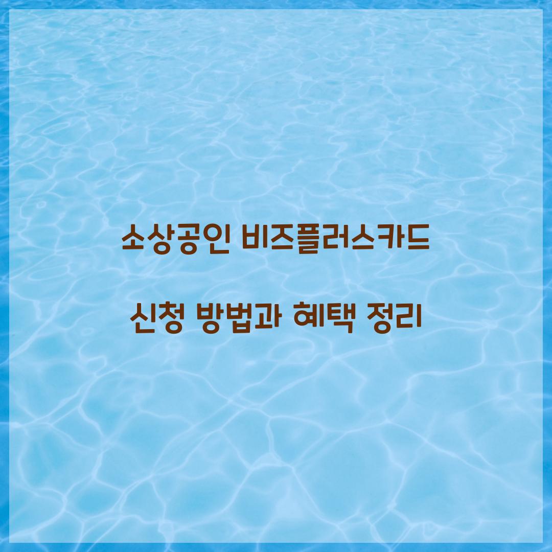 소상공인 비즈플러스카드