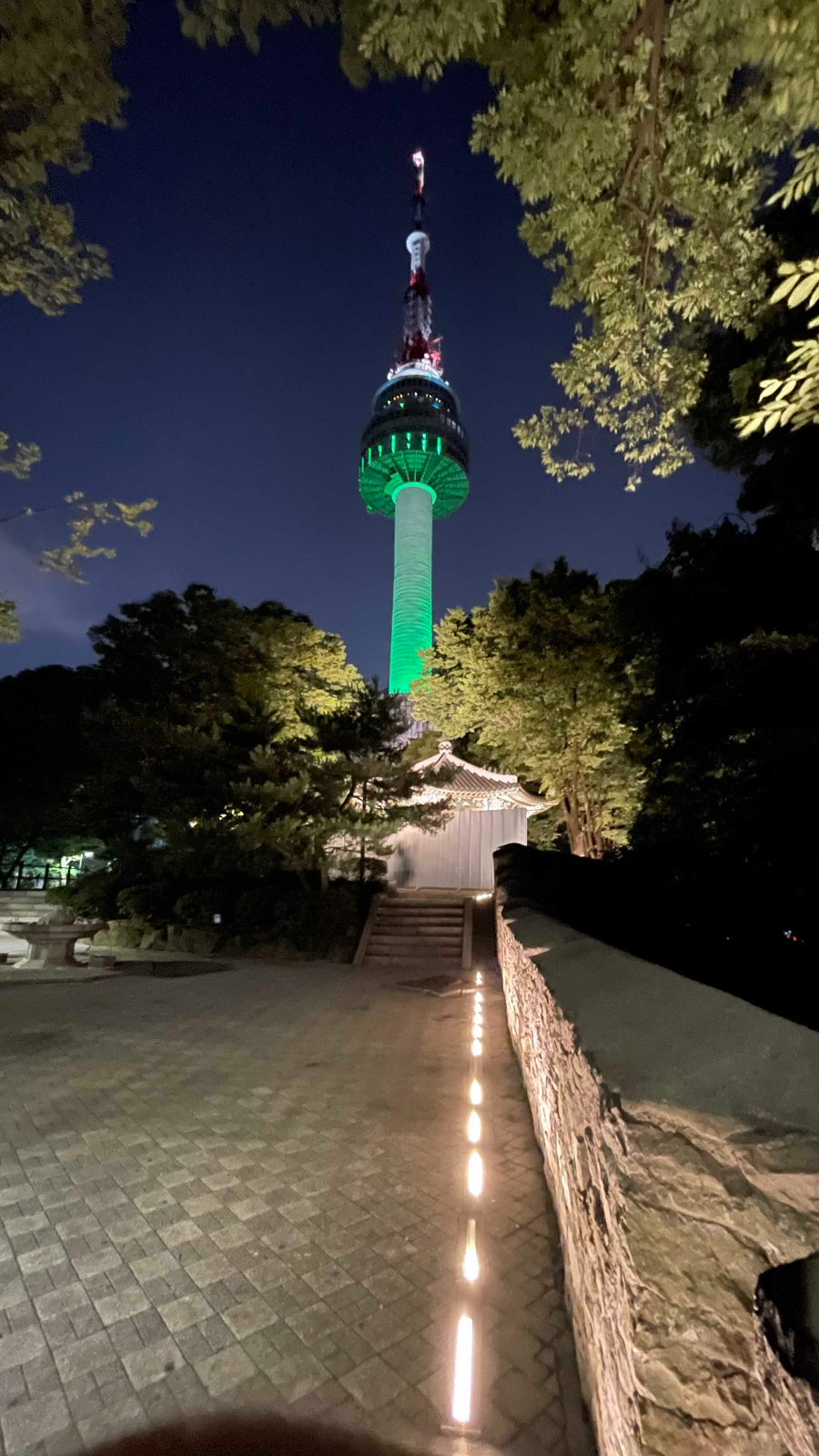 남선서울타워 밤소풍
