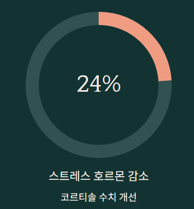 겨울 보약 같은 차 TOP3