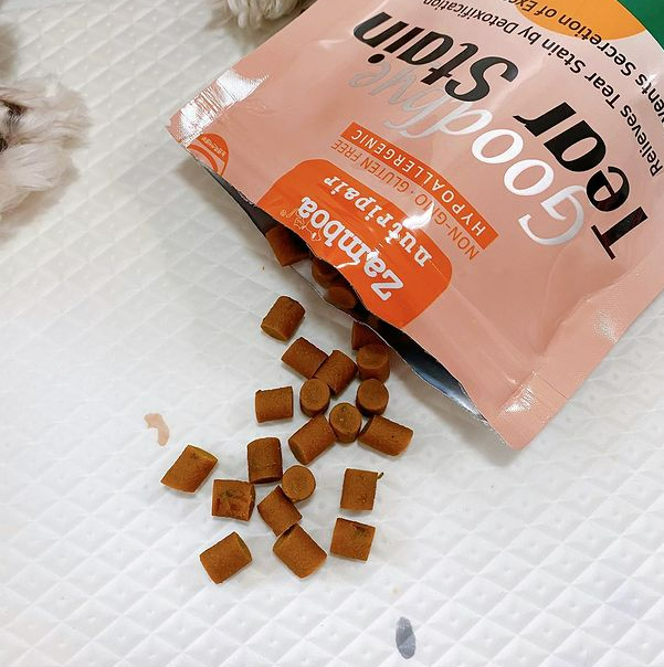 강아지 눈물냄새 지독한 이유와 근본적으로 없애는 법