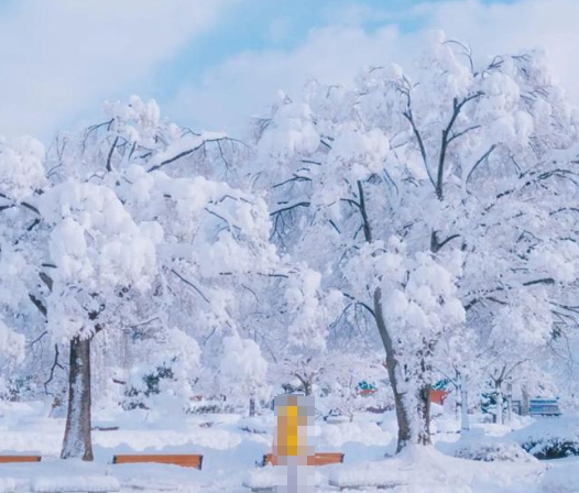 한국의 떡 종류 순채떡-강원도 겨울