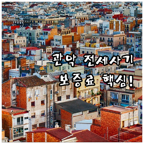 관악구 전세사기 피해자 2025 주거..