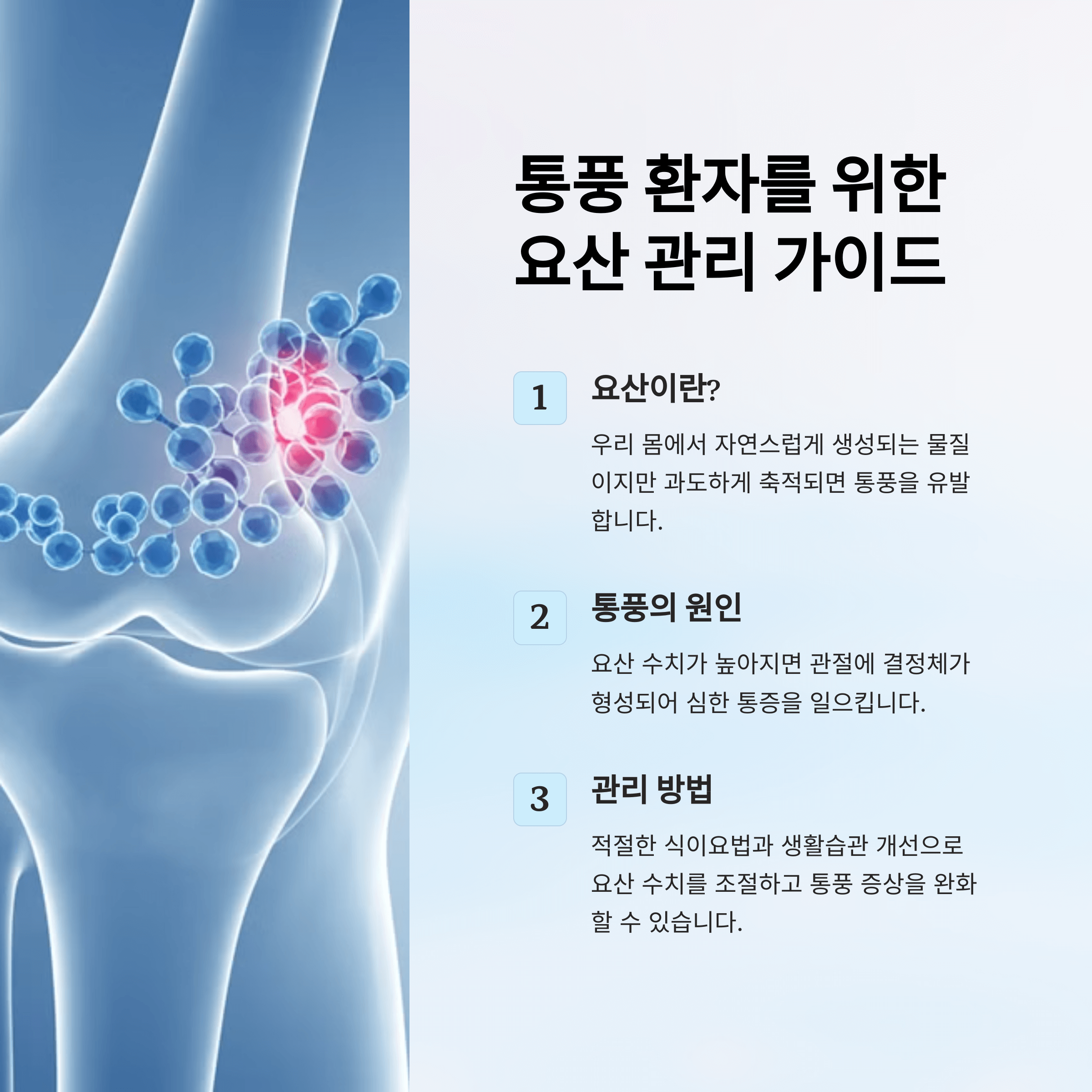 통풍 환자 필수 정보 (요산 수치, 증상 해결)