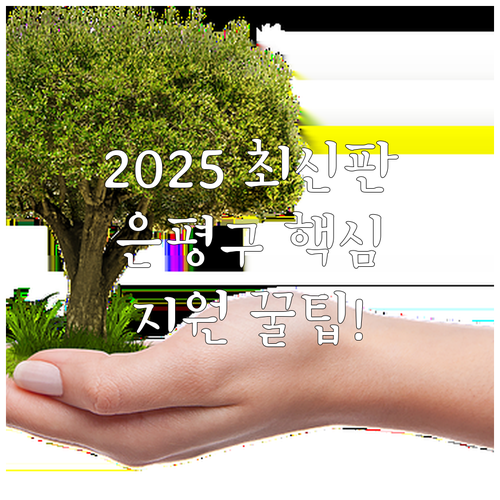 아동복지법 근거 2025 은평구 드림..