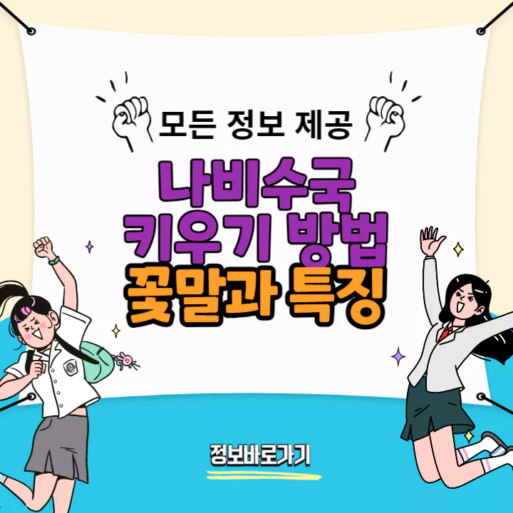 나비수국-키우기-방법-꽃말과-특징