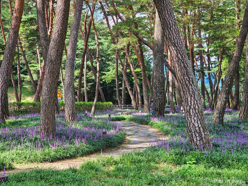 상주 가볼만한곳 베스트10