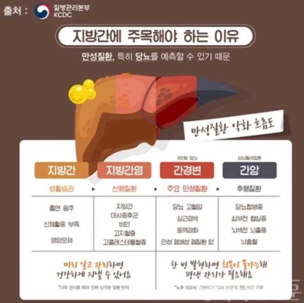 지방간
