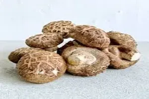 표고버섯
