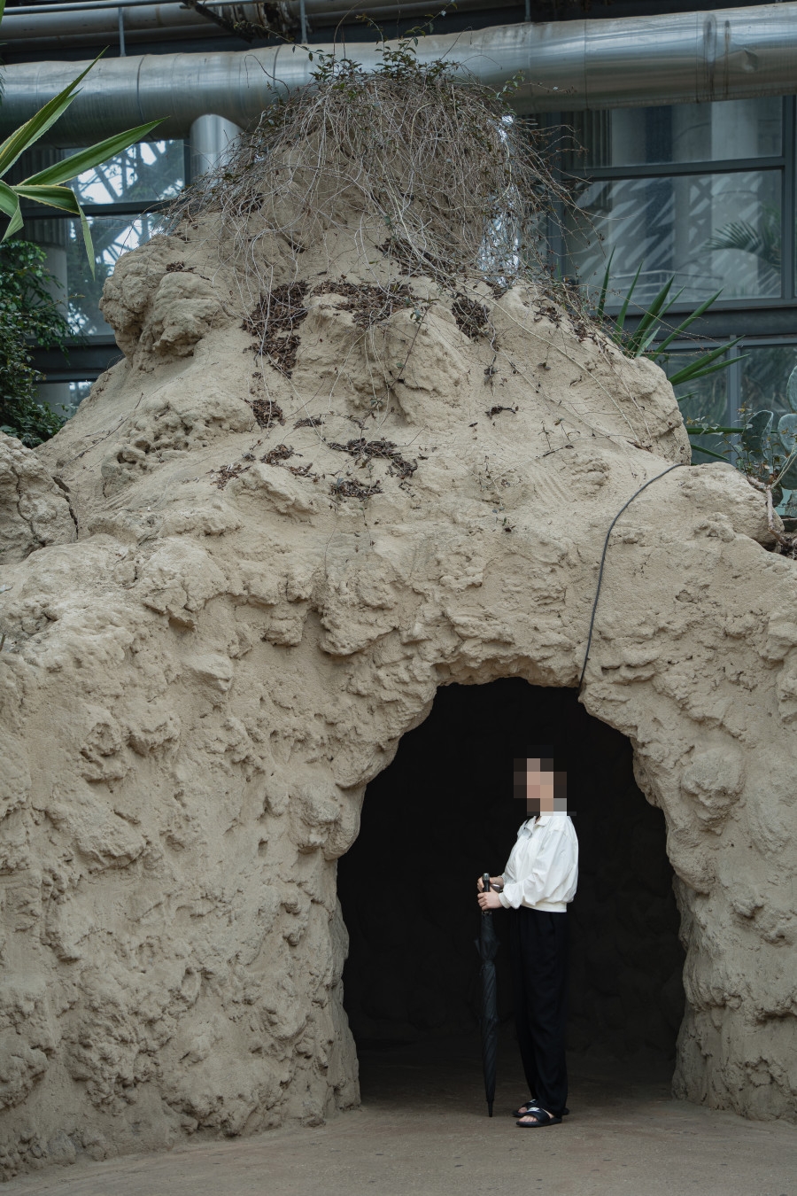 여미지 식물원 선인장 정원