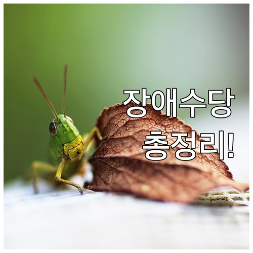 2025년 장애수당 받는 법: 자격,..