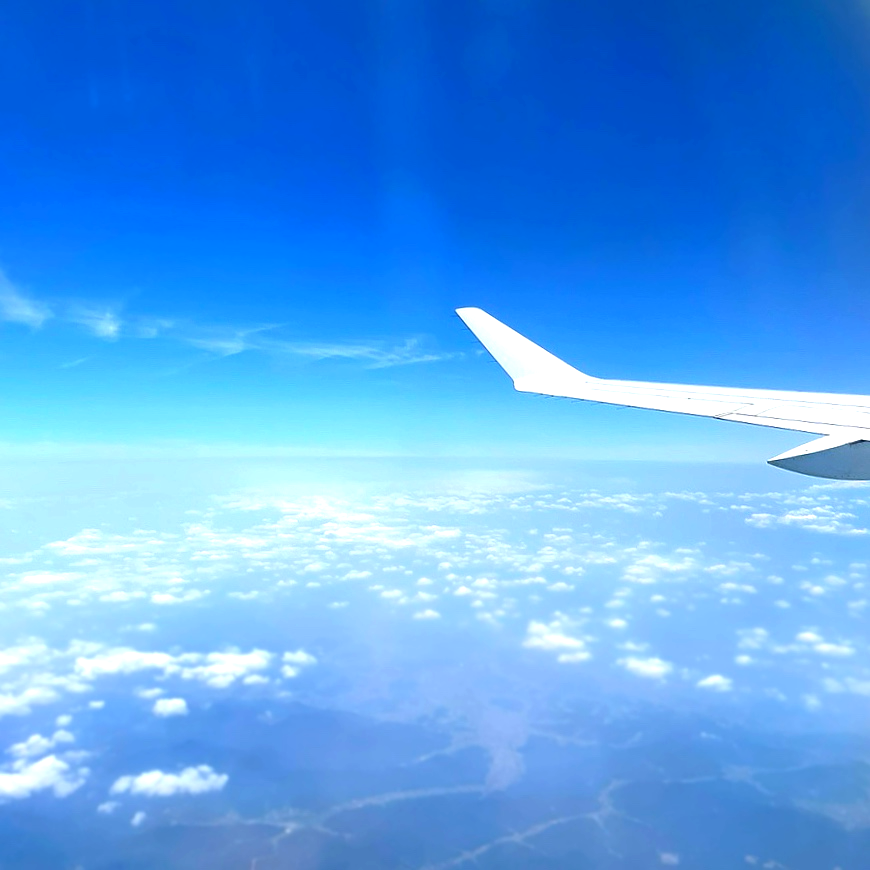 제주에서 김포가는여정