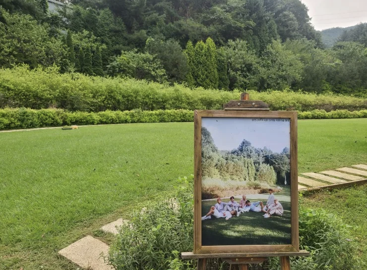 서후리숲 이미지