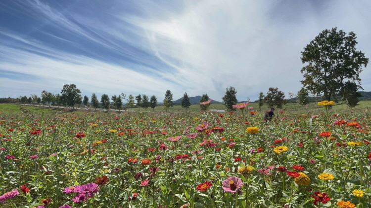 보리나라 학원농장