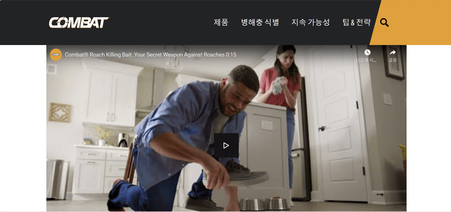 컴배트 맥스 (Combat Max)
