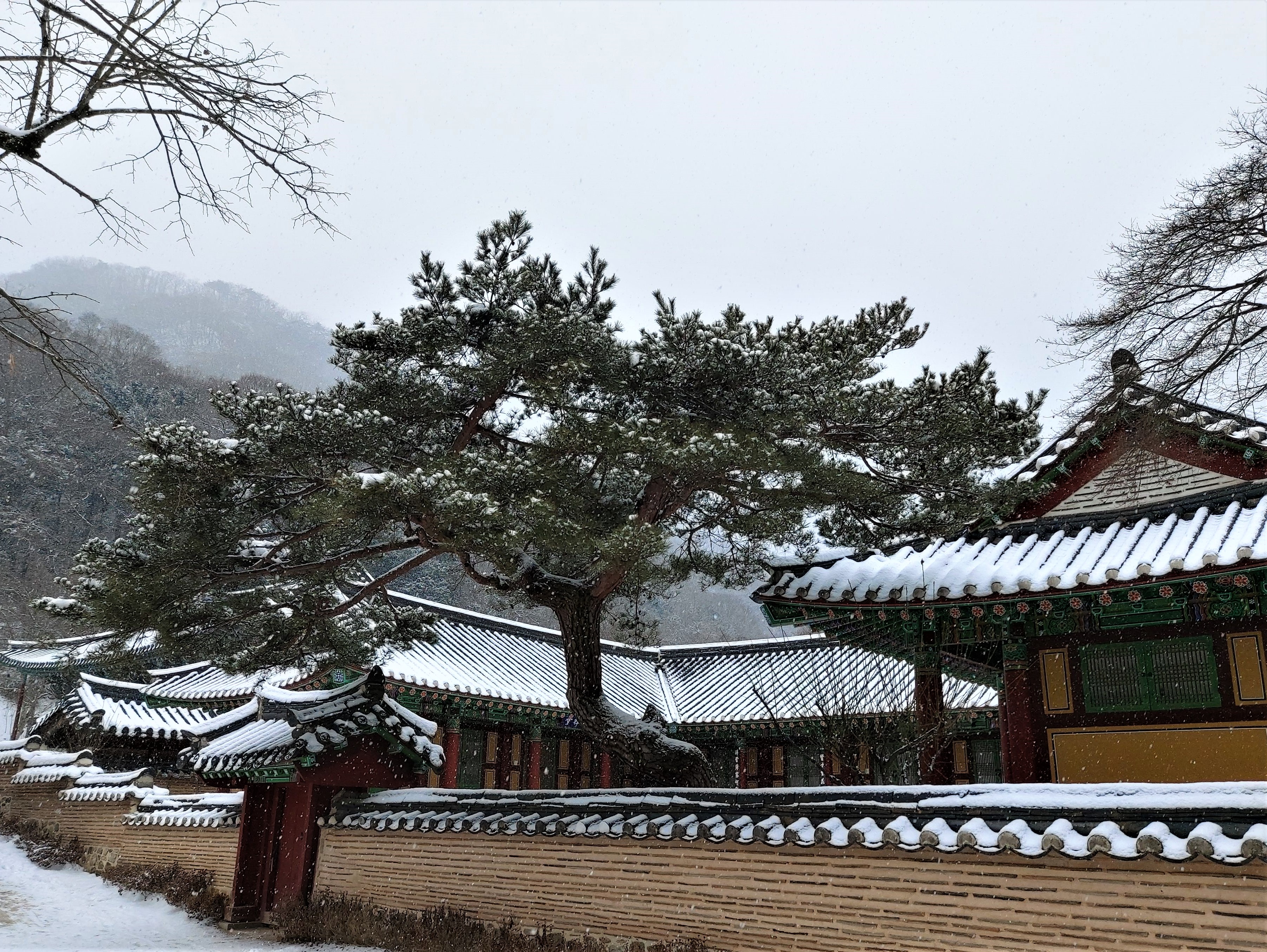 백양사 경내 