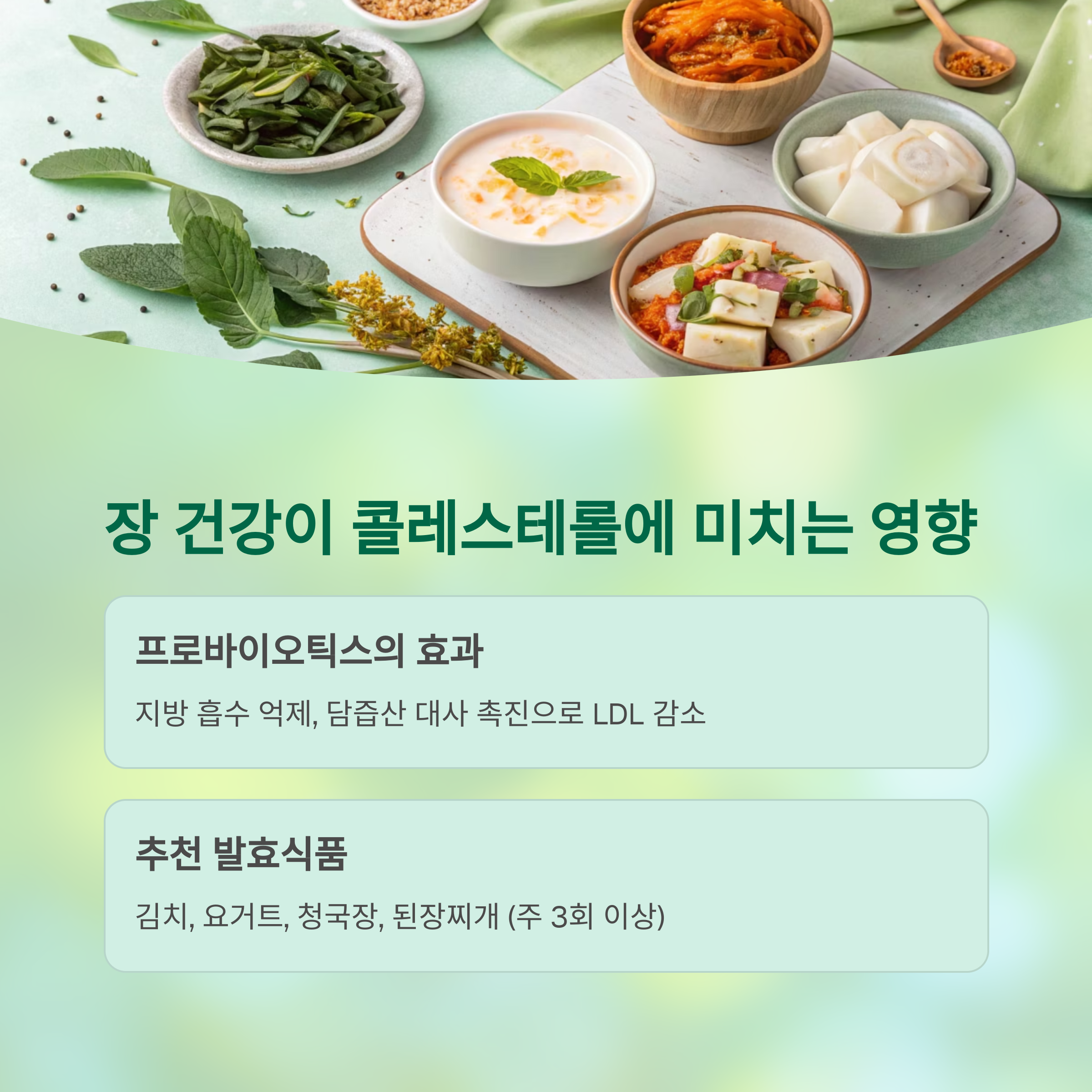 고지혈증, 약 없이 조절하는 자연치유 루틴 공개 - 약 없이 고지혈증을 관리하는 방법은 무엇이 있을까? - 장 건강이 혈중 지질에도 영향을 준다고? 고지혈증, 약 없이 조절하는 자연치유 루틴 공개 - 약 없이 고지혈증을 관리하는 방법은 무엇이 있을까? - 장 건강이 혈중 지질에도 영향을 준다고?