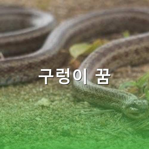 징그럽고-커다란-구렁이가-재물운과-함께-기어다니는-모습