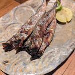 교토에서 이자카야 한 곳만 간다면? 마츠모토 사카바 가보세요! 관련사진