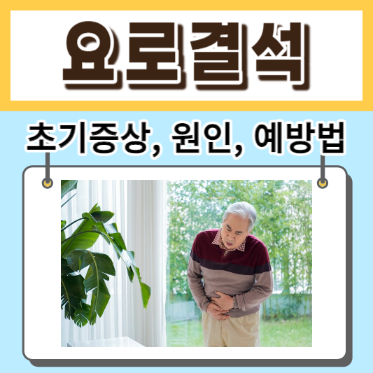 요로결석-초기증상-원인-치료법