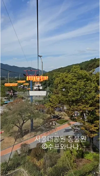 서울대공원 캠핑장 둘레길 동물원 입장료 맛집_8