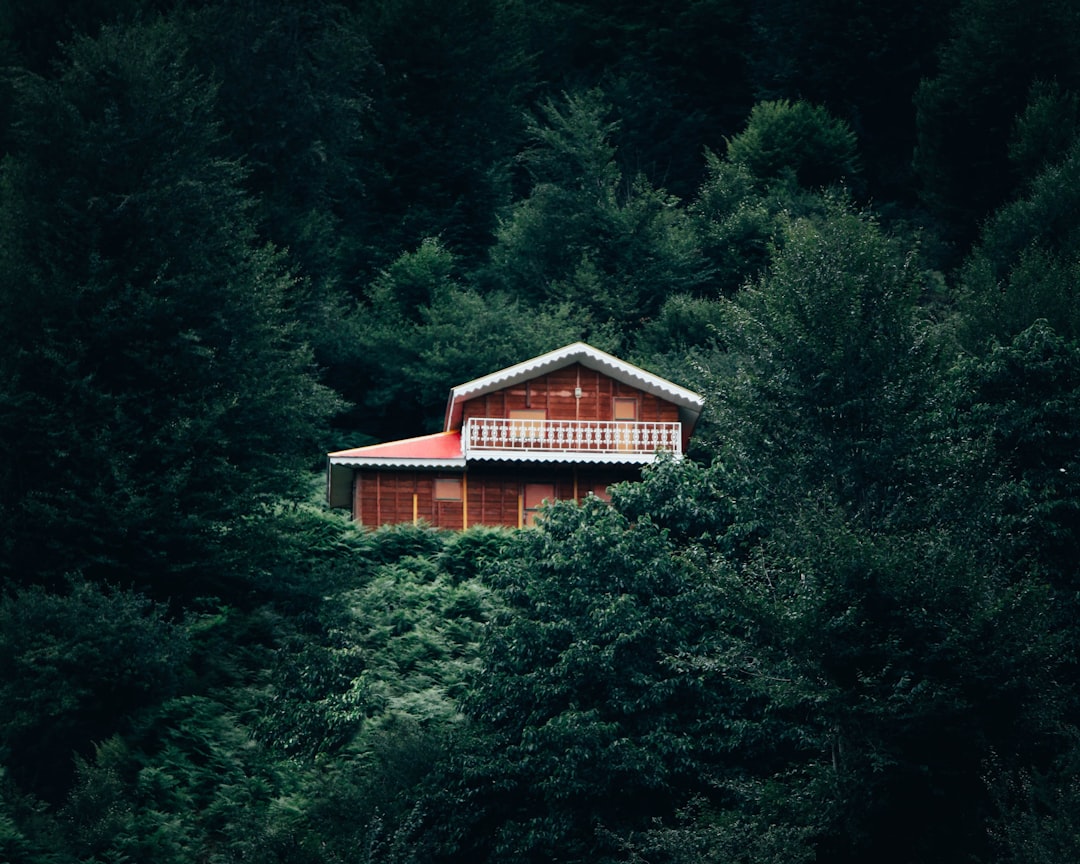 solitary