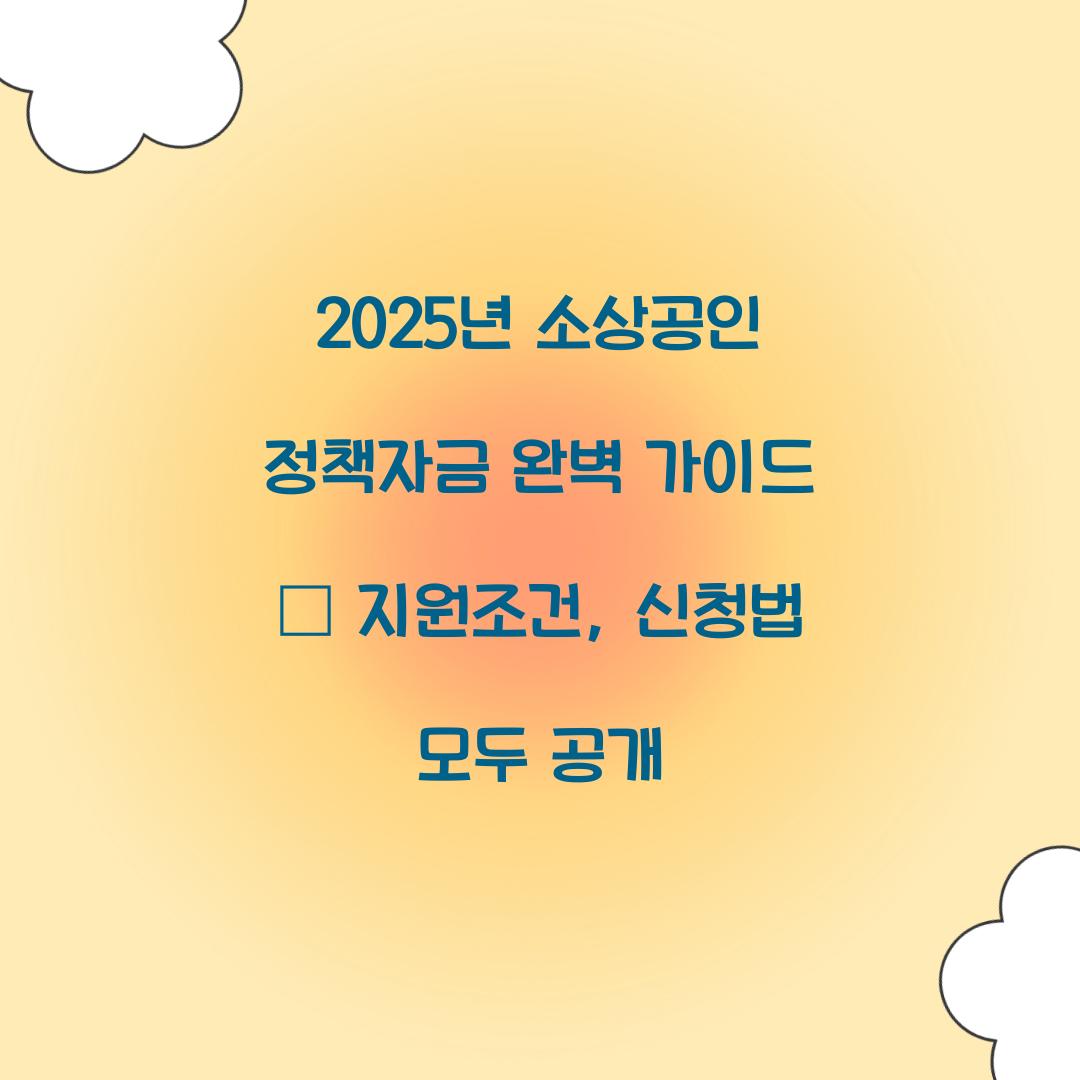 2025년 소상공인 정책자금