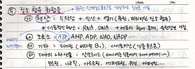 질소 함유 화합물
