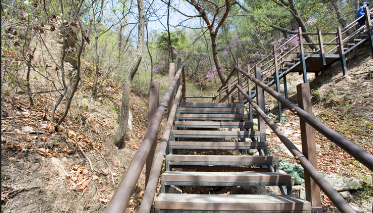 불암산 등산코스