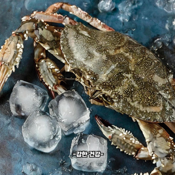 꽃게 암수 구별