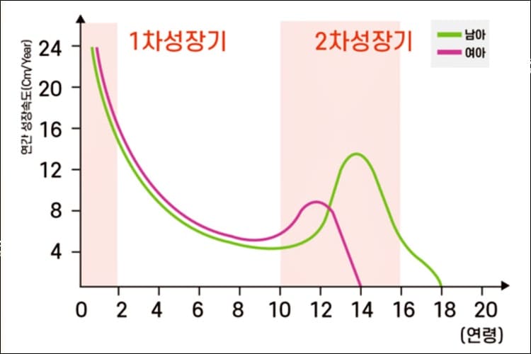 사춘기 키성장 곡선