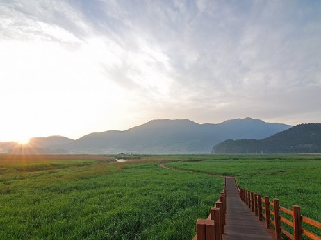 순천만습지-나무데크