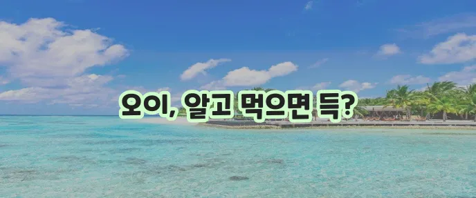 오이 칼로리는 1개에 얼마나 될까요 오이 다이어트 방법으로 확실하게 살 빼봐요!