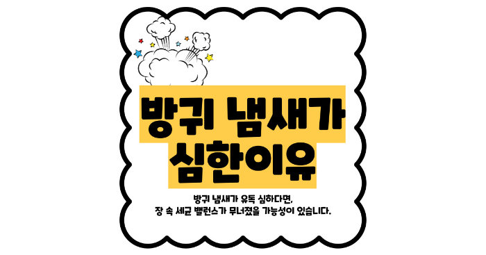 방귀 냄새가 심한 이유