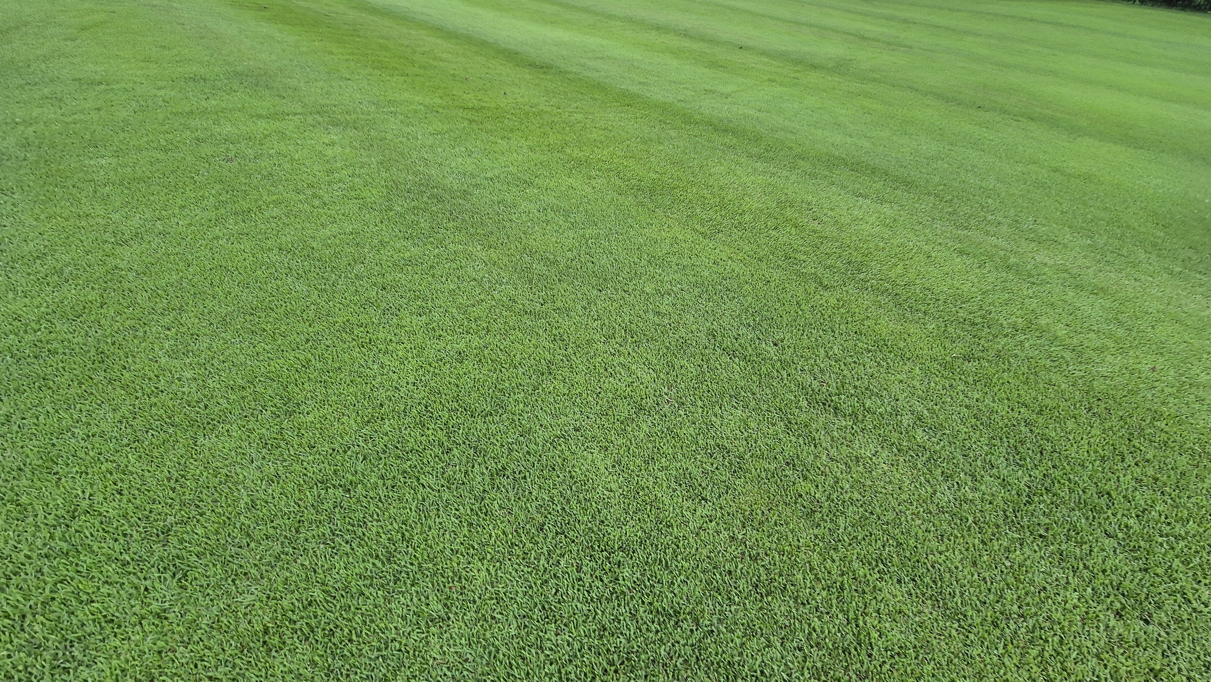 뉴스프링빌cc 라운드 후기