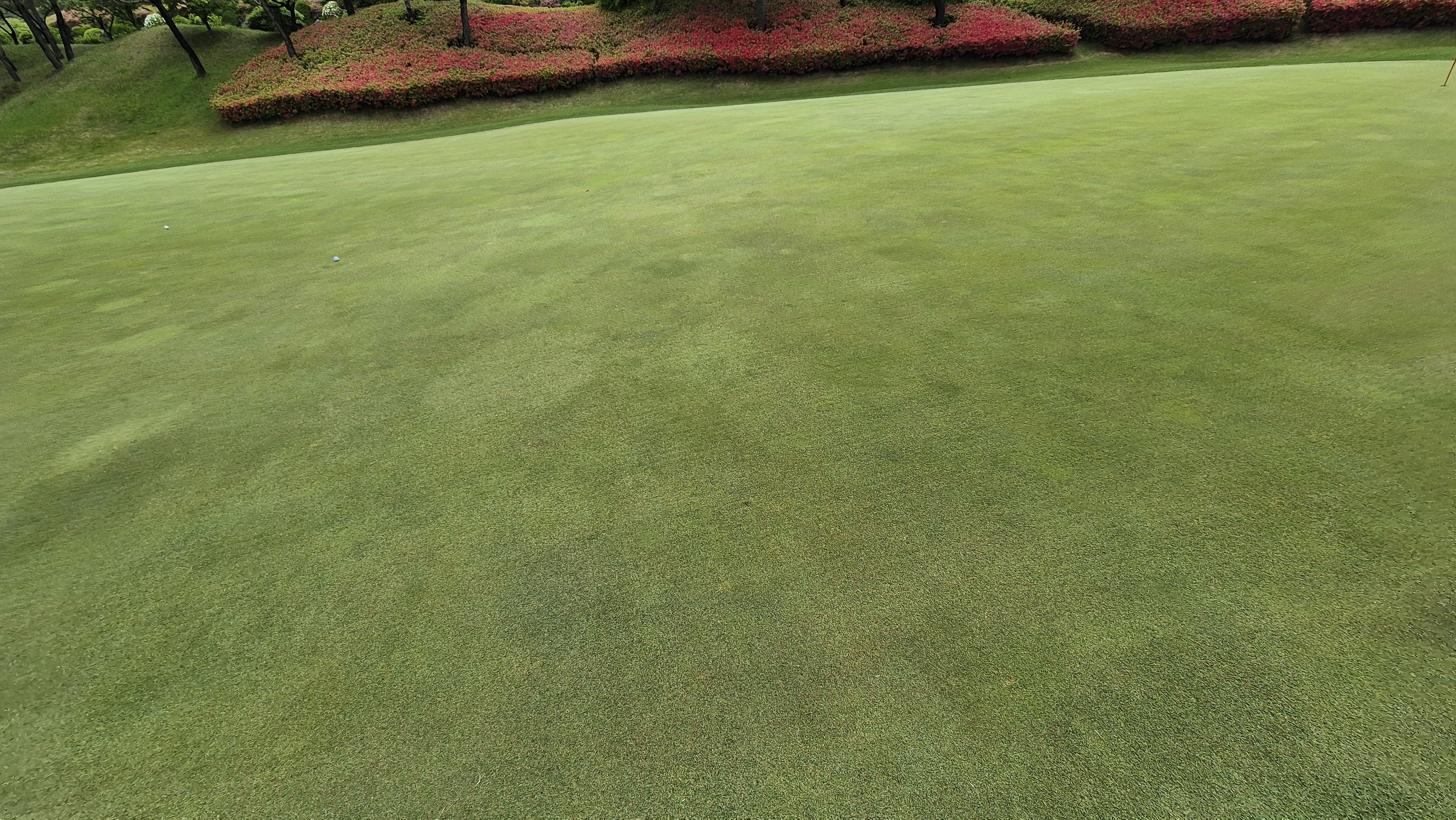 엘리시안 강촌cc 라운드 후기