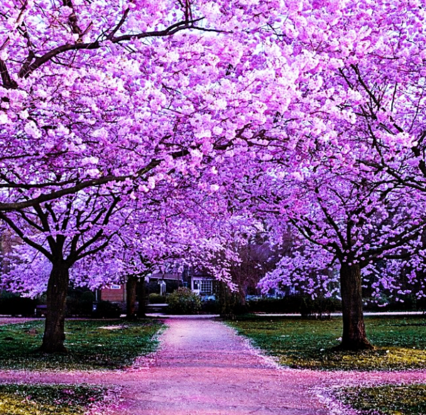 4월 인사말 문구