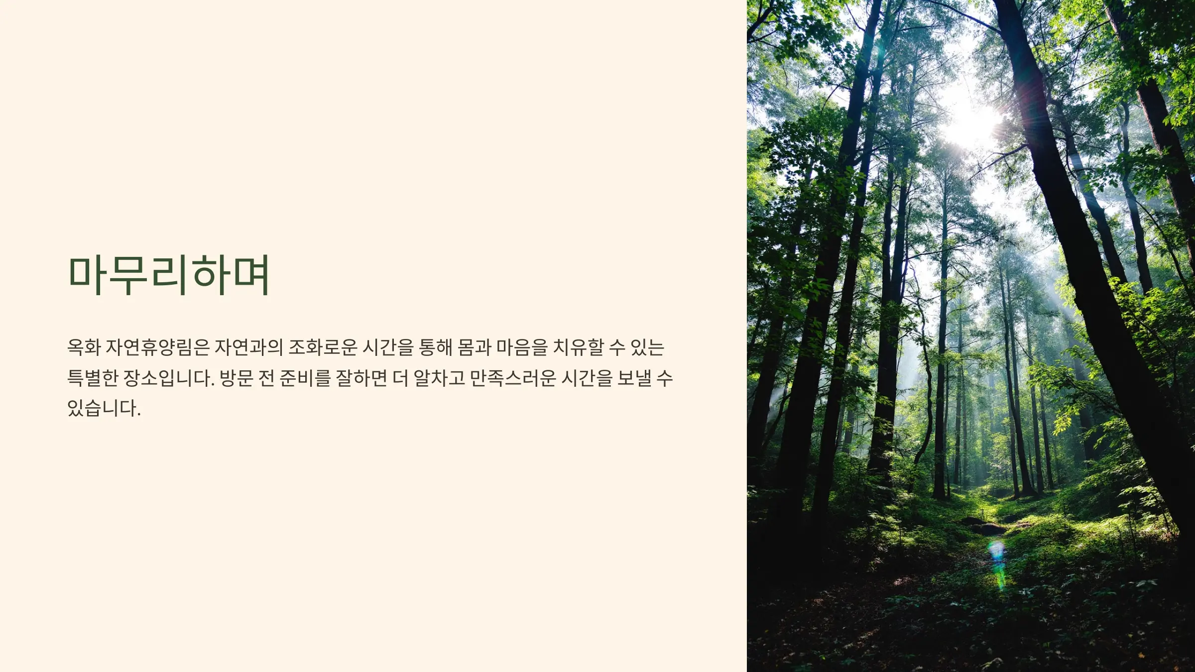 옥화 자연휴양림 마치며